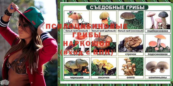 спиды Козельск