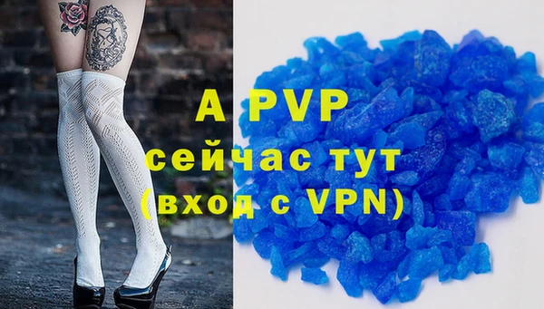 спиды Козельск
