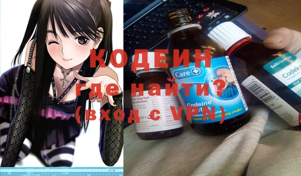 хмурый Кодинск
