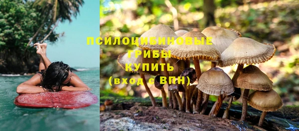 спиды Козельск