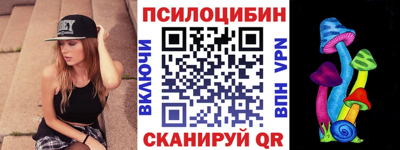 Псилоцибиновые грибы мицелий  Купить где  Дубна 